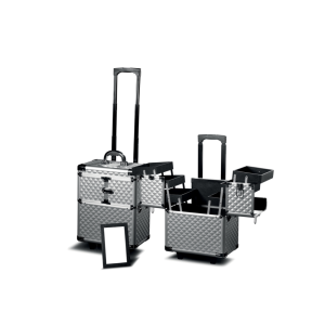 Trolley piccolo alluminio silver