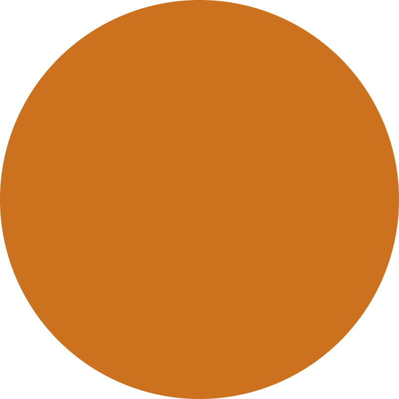 raywell raywell direct pigment color gel 150ml arancione - foto 2