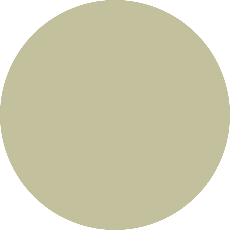 raywell raywell direct pigment color gel 150ml biondo beige - foto 2