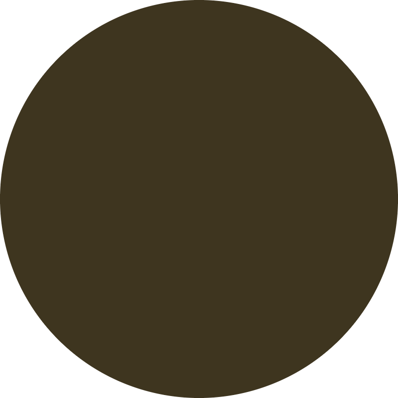 raywell raywell direct pigment color gel 150ml caffe - foto 2
