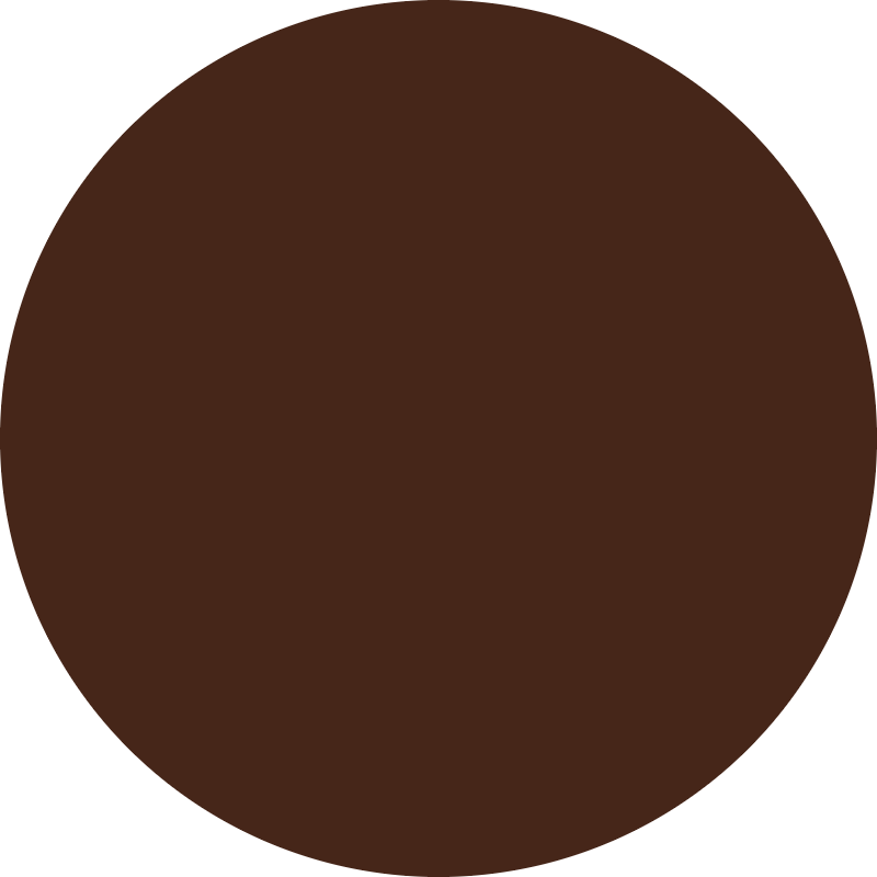 raywell raywell direct pigment color gel 150ml cioccolato - foto 2