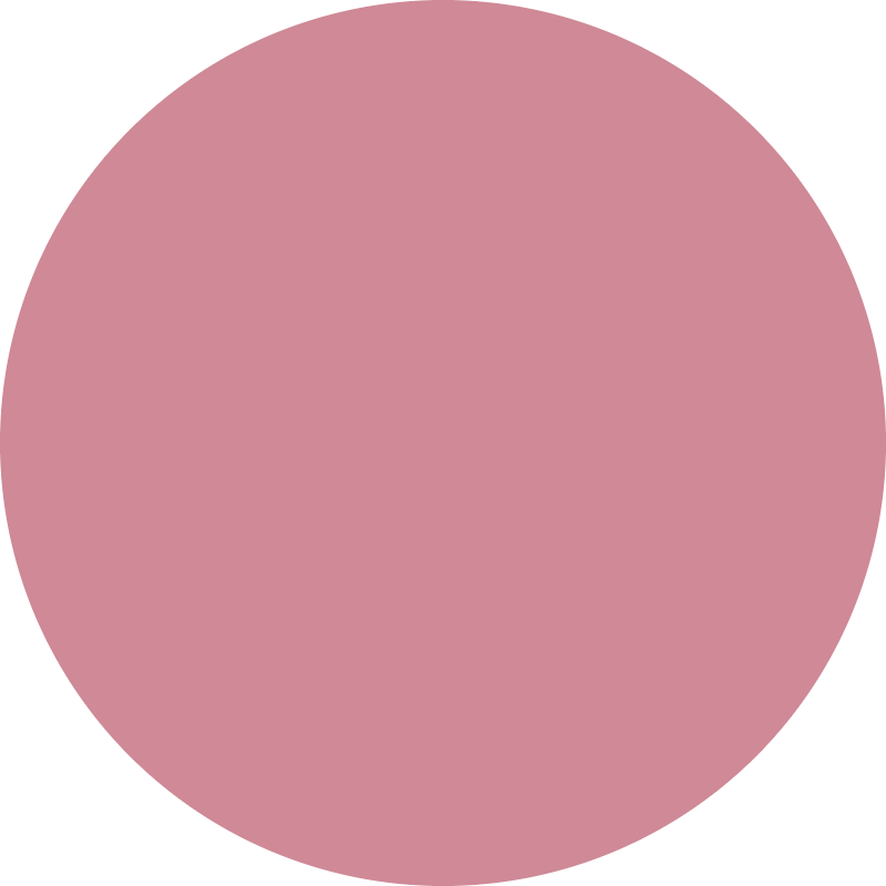 raywell raywell direct pigment color gel 150ml rosa - foto 2
