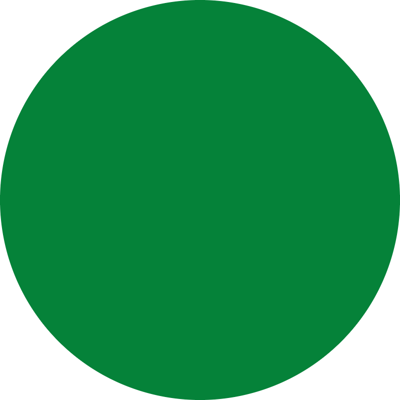 raywell raywell direct pigment color gel 150ml verde - foto 2