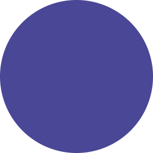 Direct pigment color gel 150ml viola